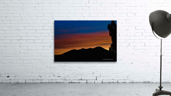 Silhouette Wall Preview