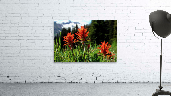 Paintbrush Trio Wall Preview