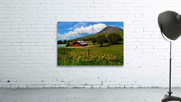 CrawfordCountry Wall Preview