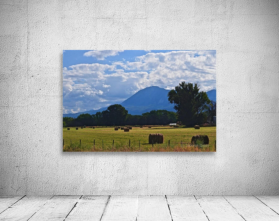 Hwy133Ranch Wall Preview