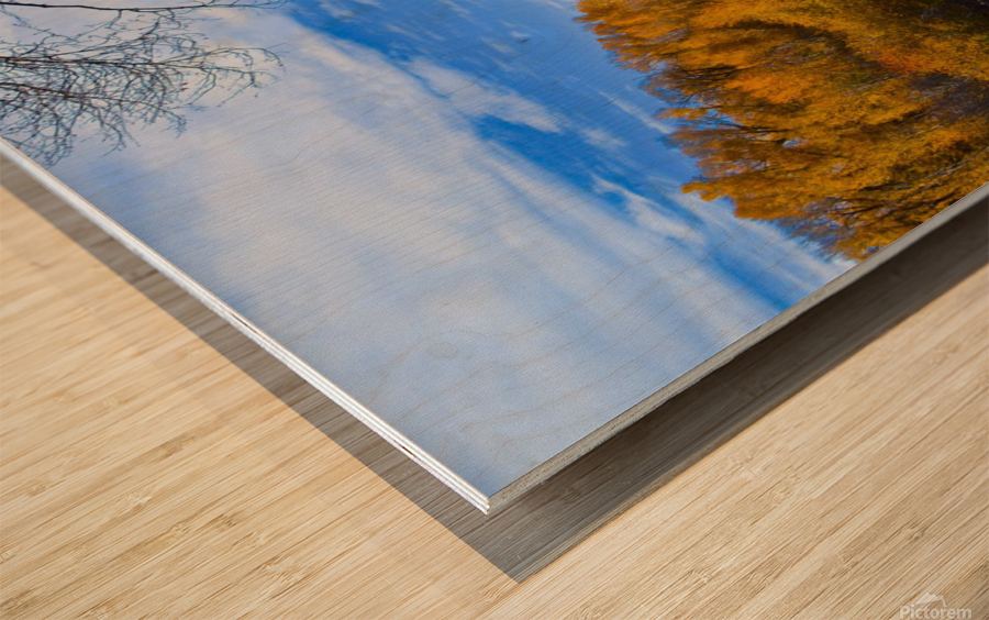 Gunnison River Fall Wood print