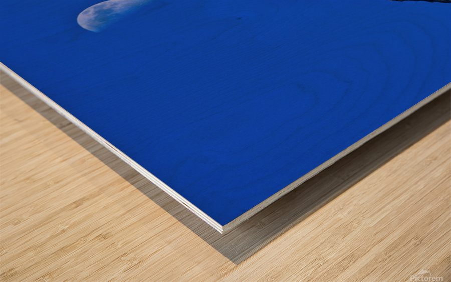 Peak Half Moon Wood print