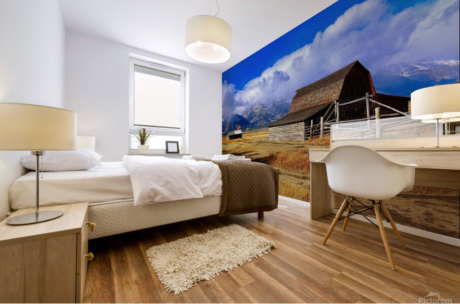 Historic Morman Row Mural print