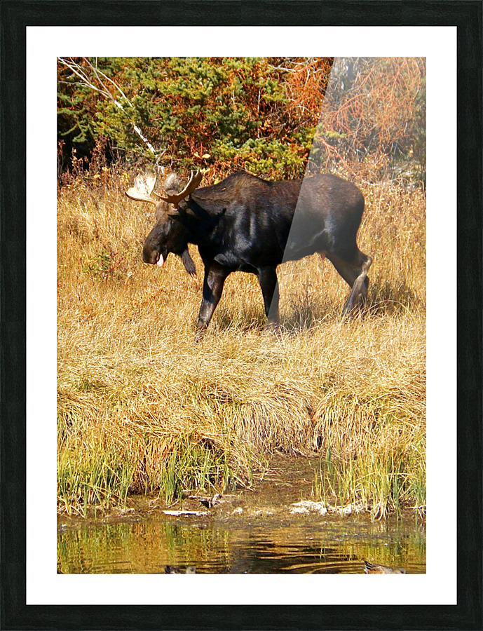 Going For A Drink Picture Frame print