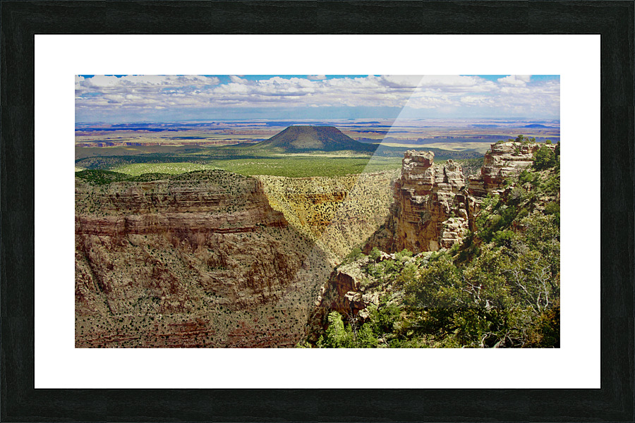 95971B38 9E7E 41E0 B2E7 E518352BC5FB Picture Frame print