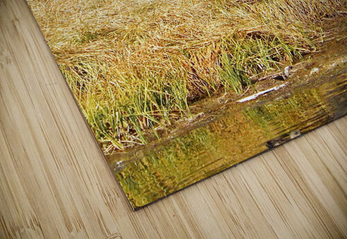 Going For A Drink DB Photos puzzle