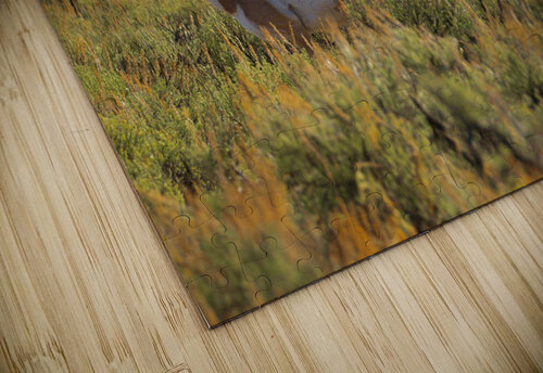 Prairie Pronghorn DB Photos puzzle