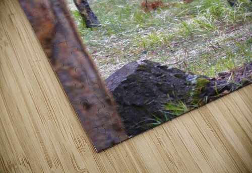 Bugling In Banff DB Photos puzzle