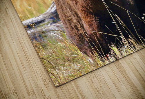 Eye To Eye DB Photos puzzle