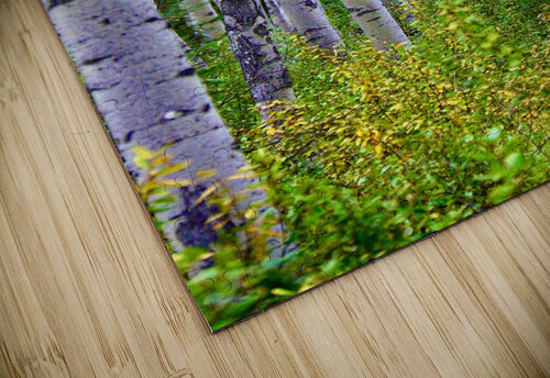 Birch Meadow DB Photos puzzle