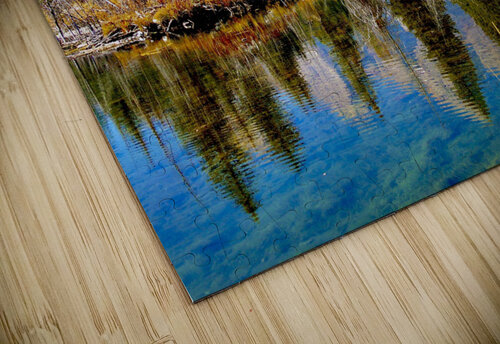 Tetons Through The Trees DB Photos puzzle