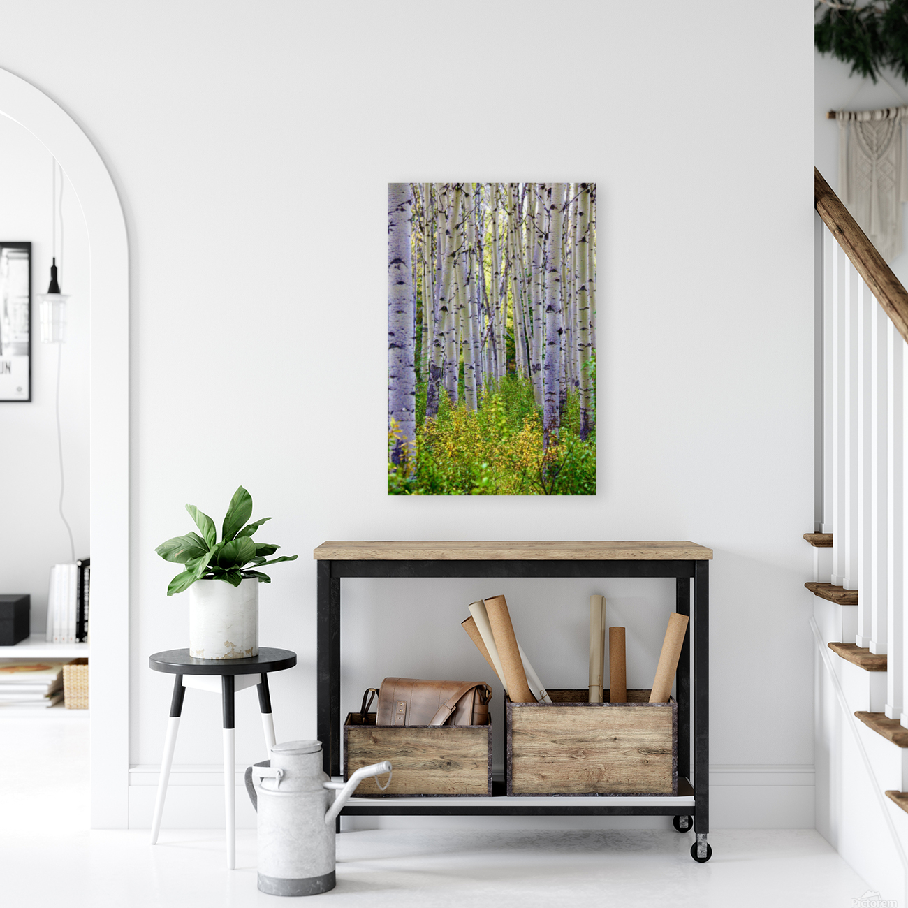 Birch Meadow Reproduction