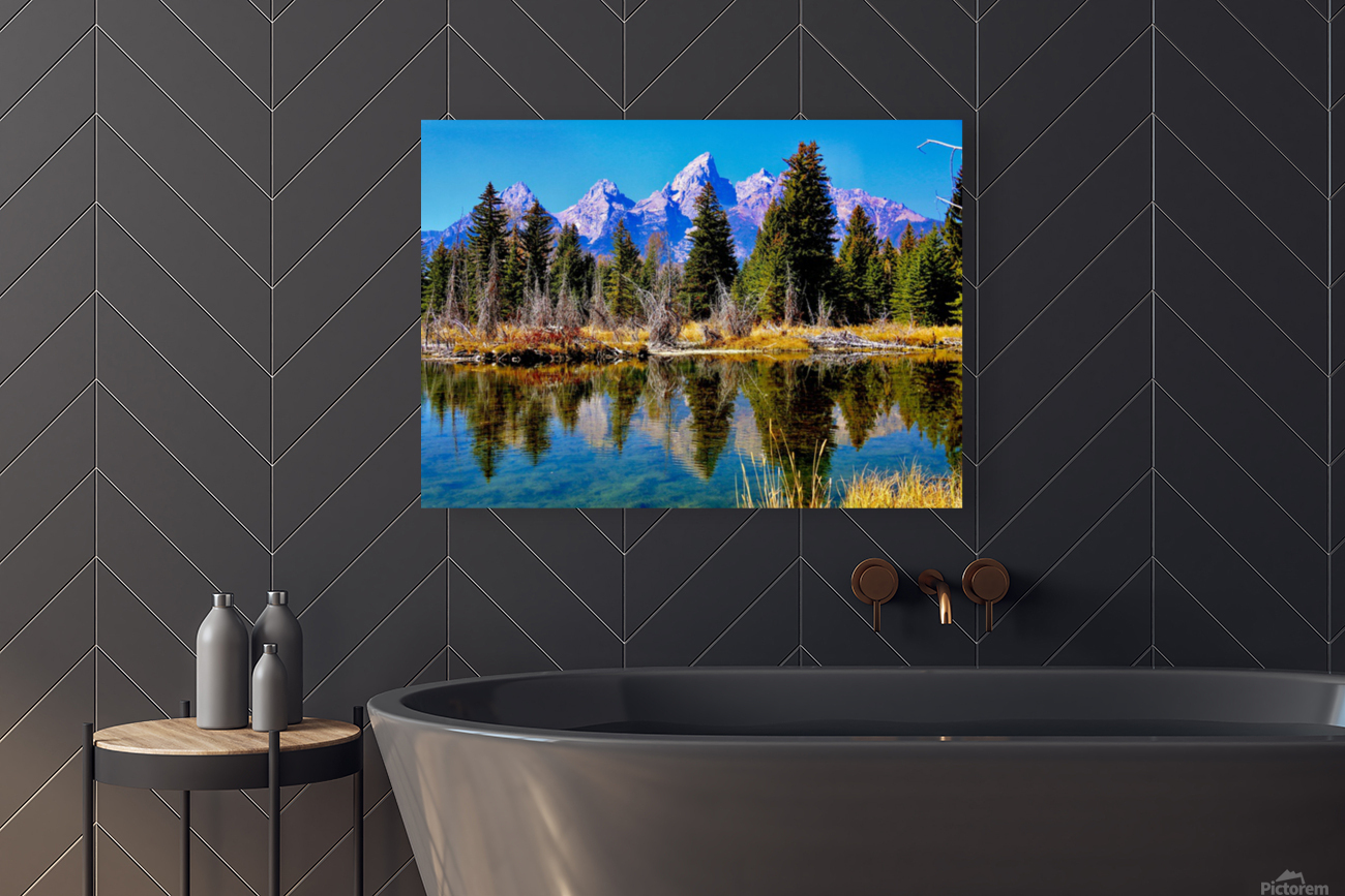 Tetons Through The Trees Reproduction