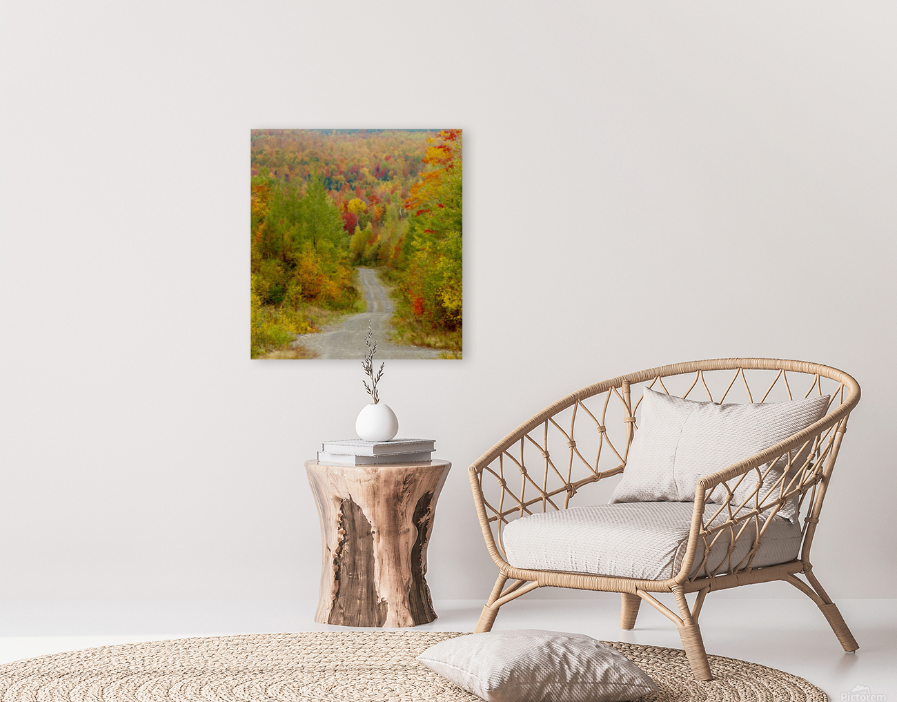 Logging Road In Fall Reproduction