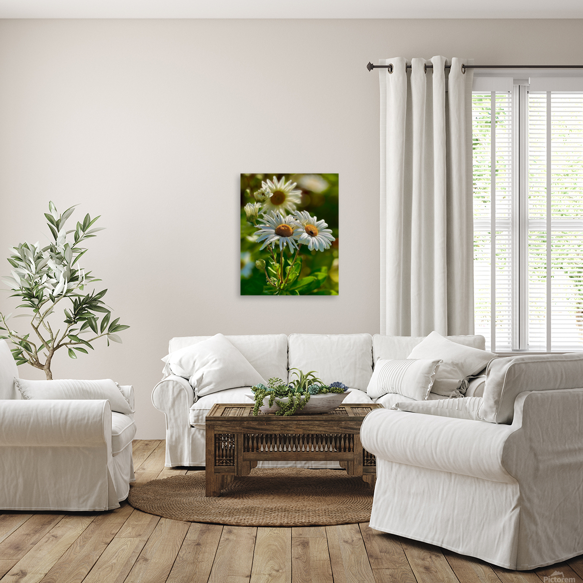 Daisies In Bloom Reproduction