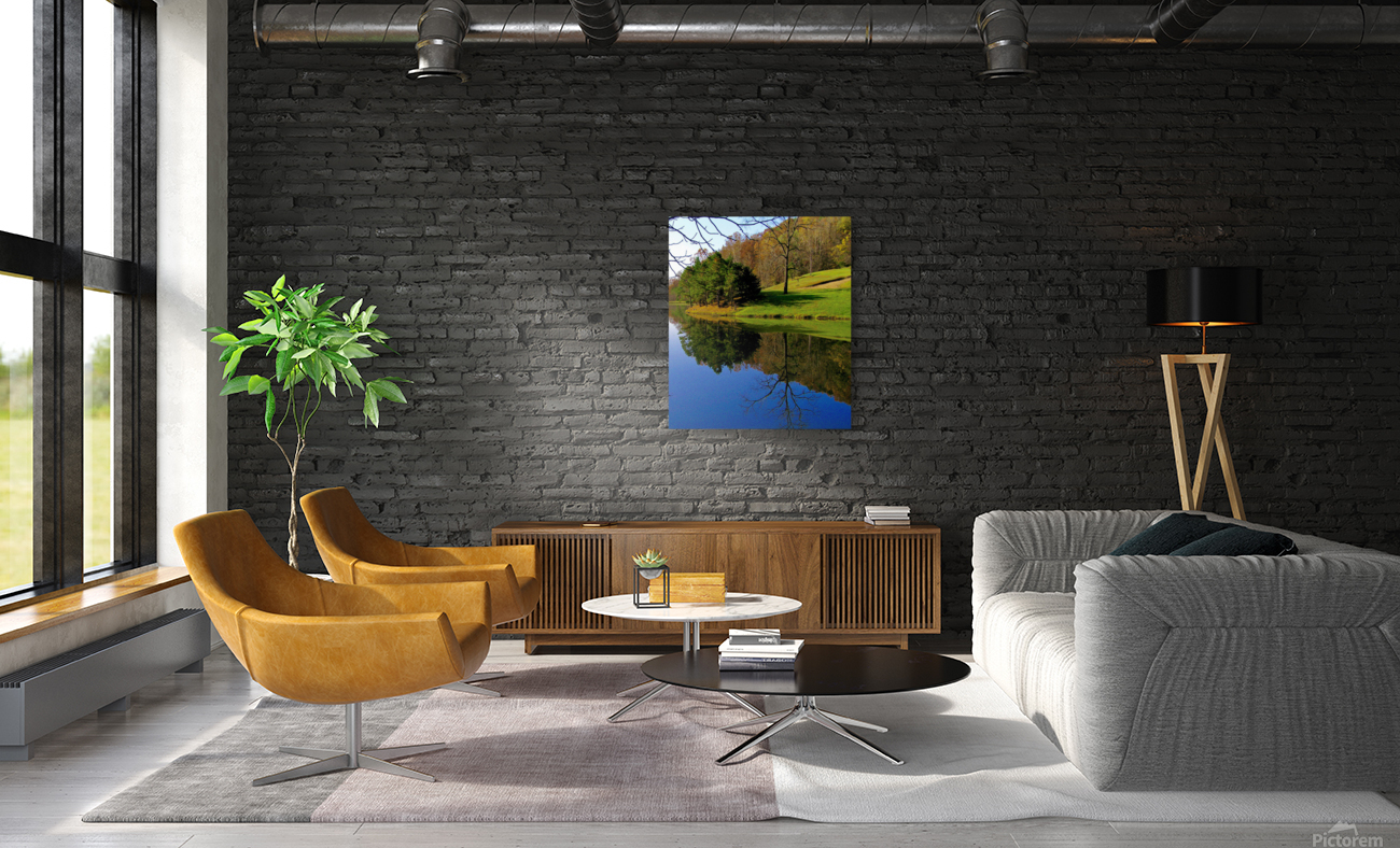 Mirror Pond Reproduction