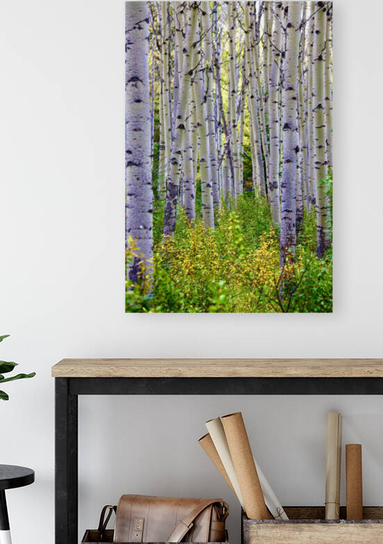Birch Meadow Reproduction