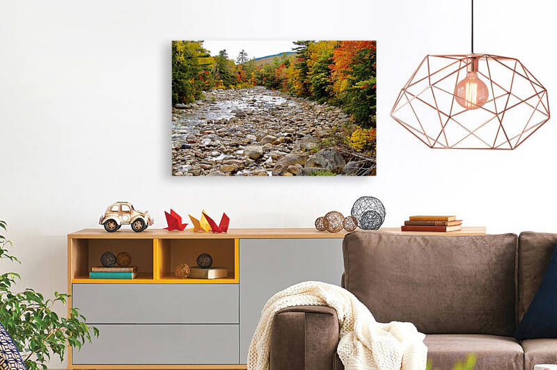 Creekside Colors by DB Photos