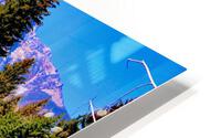 Tetons Through The Trees HD Metal print
