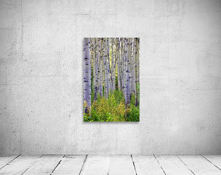 Birch Meadow Wall Preview