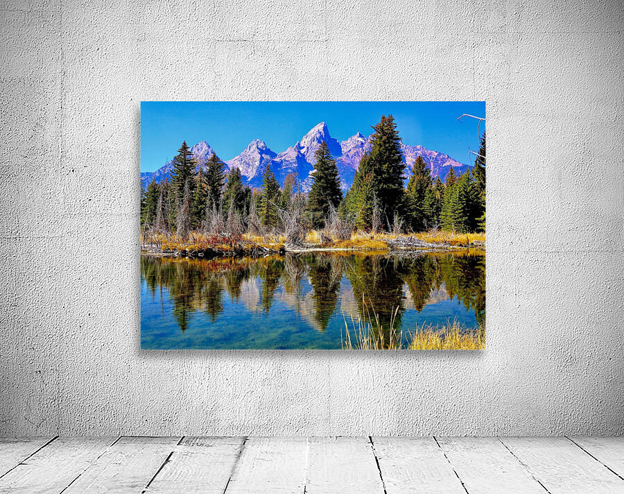 Tetons Through The Trees Wall Preview