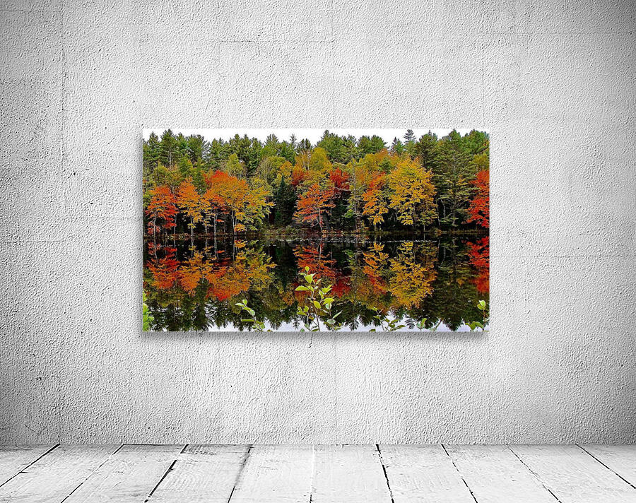 Reflections Wall Preview