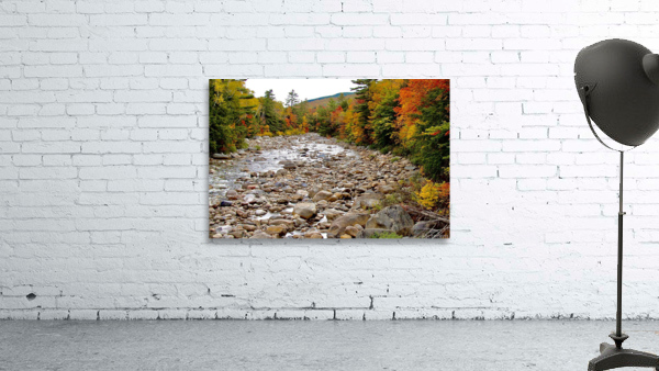 Creekside Colors Wall Preview
