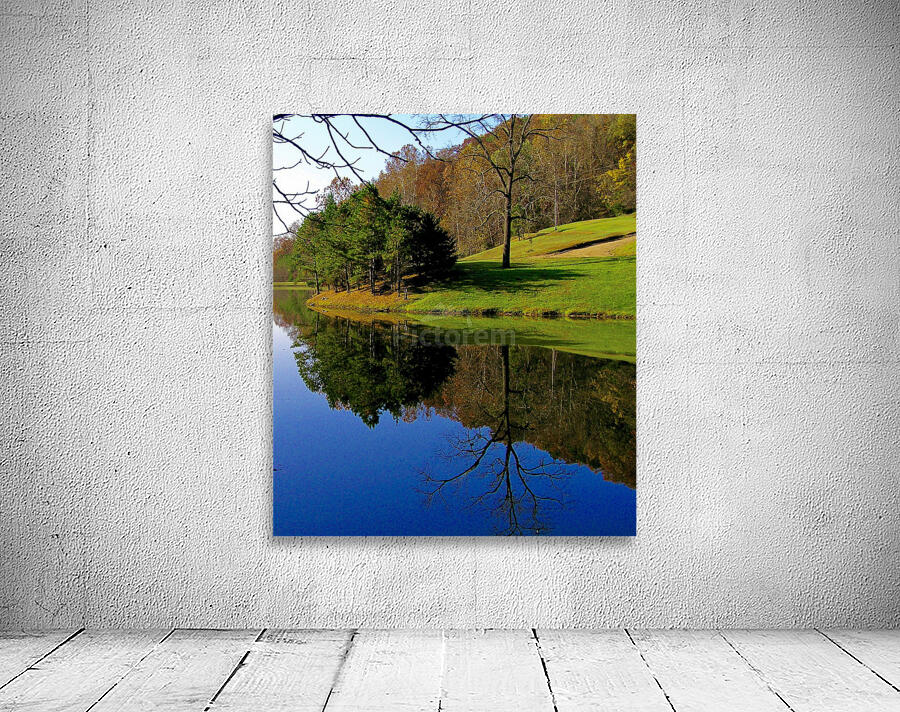 Mirror Pond Wall Preview