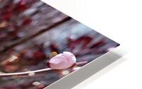 Flowers  HD Metal print