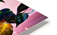 Mican HD Metal print