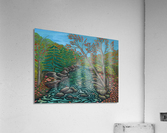 A River View Acrylic Print