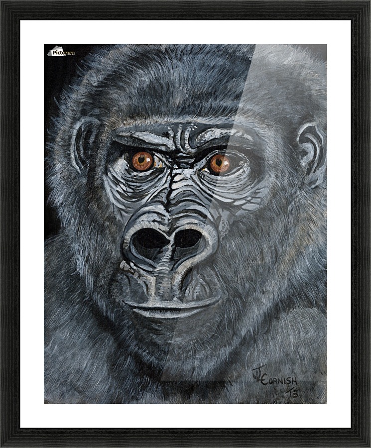 Silverback Picture Frame print