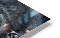 Silverback HD Metal print