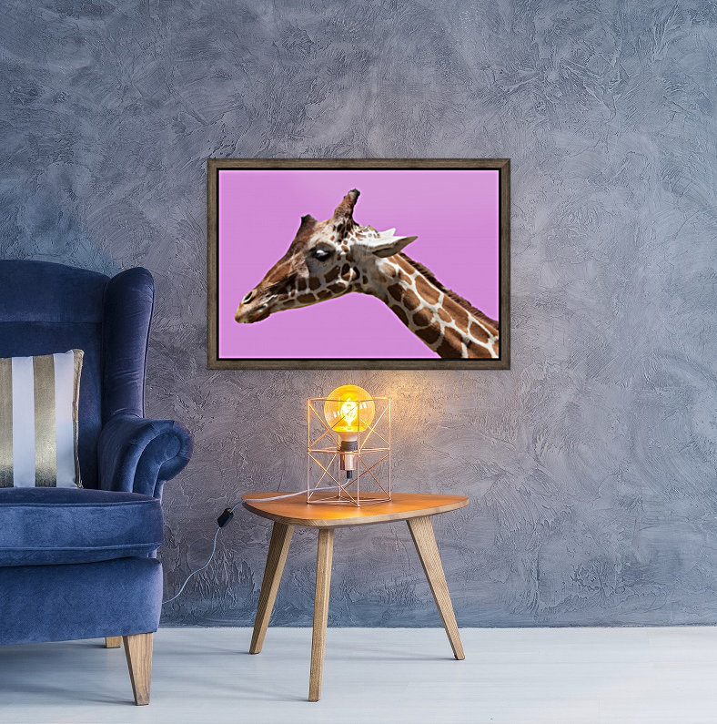 PinkGiraffe Reproduction