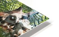 4 Giraffes  HD Metal print