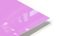 PinkGiraffe HD Metal print
