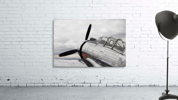 P-53 Nose Wall Preview