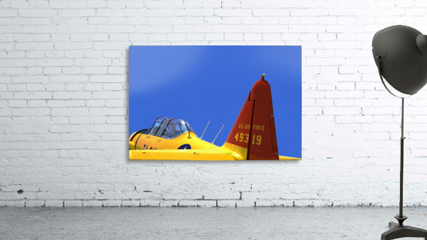 T6 Texan Wall Preview