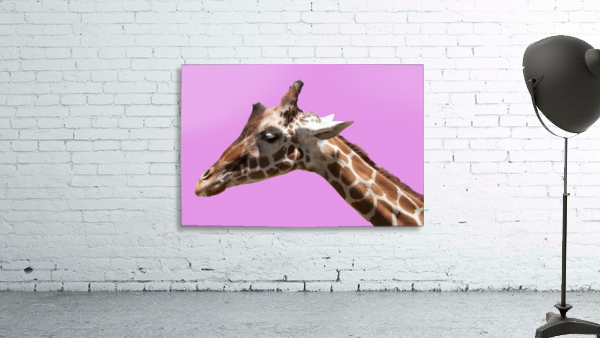 PinkGiraffe Wall Preview