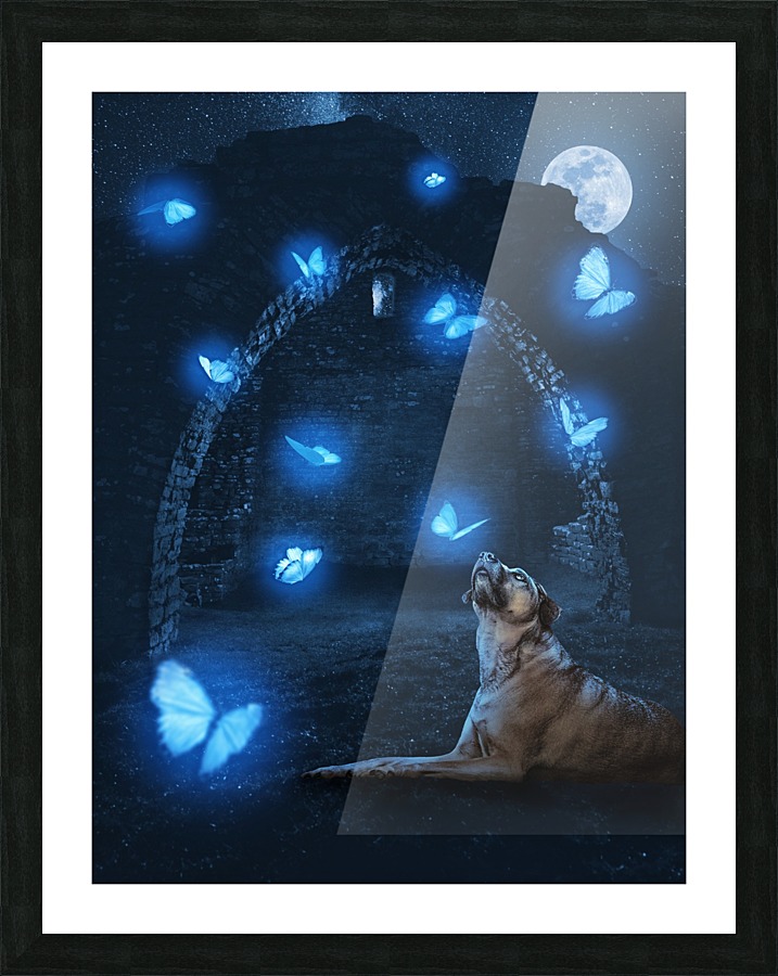  Fine Art print