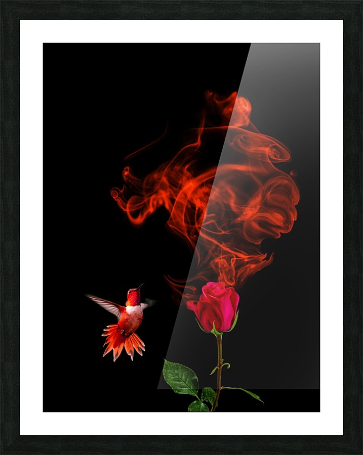  Fine Art print