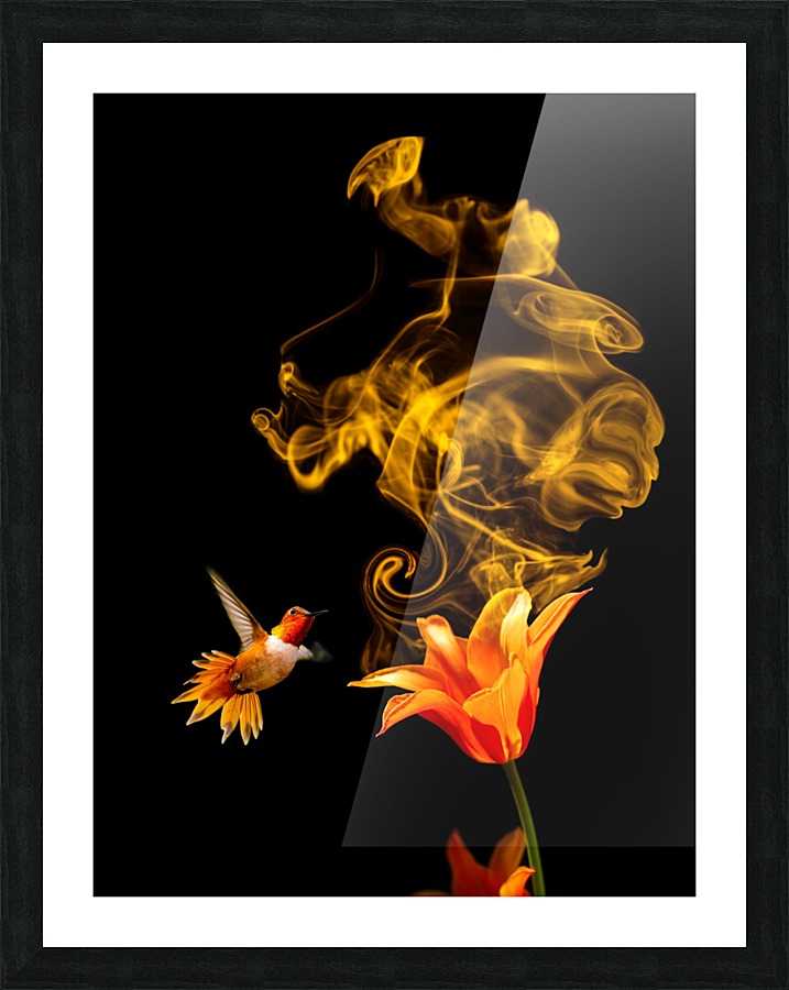  Fine Art print