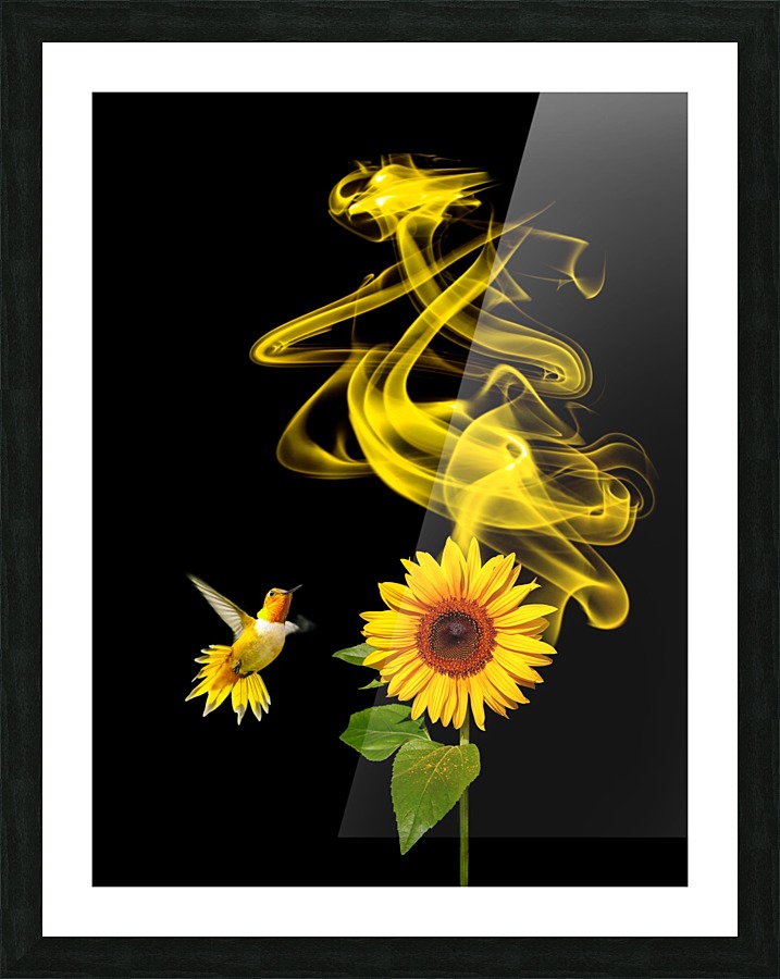  Fine Art print