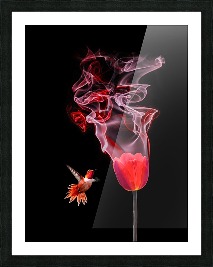  Fine Art print