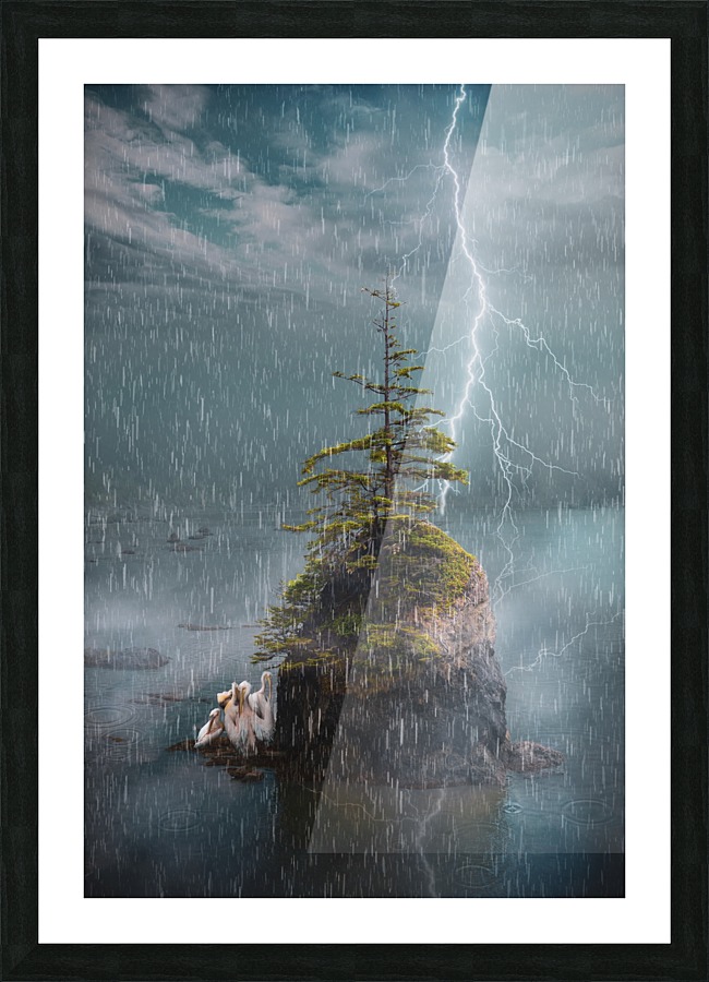  Fine Art print