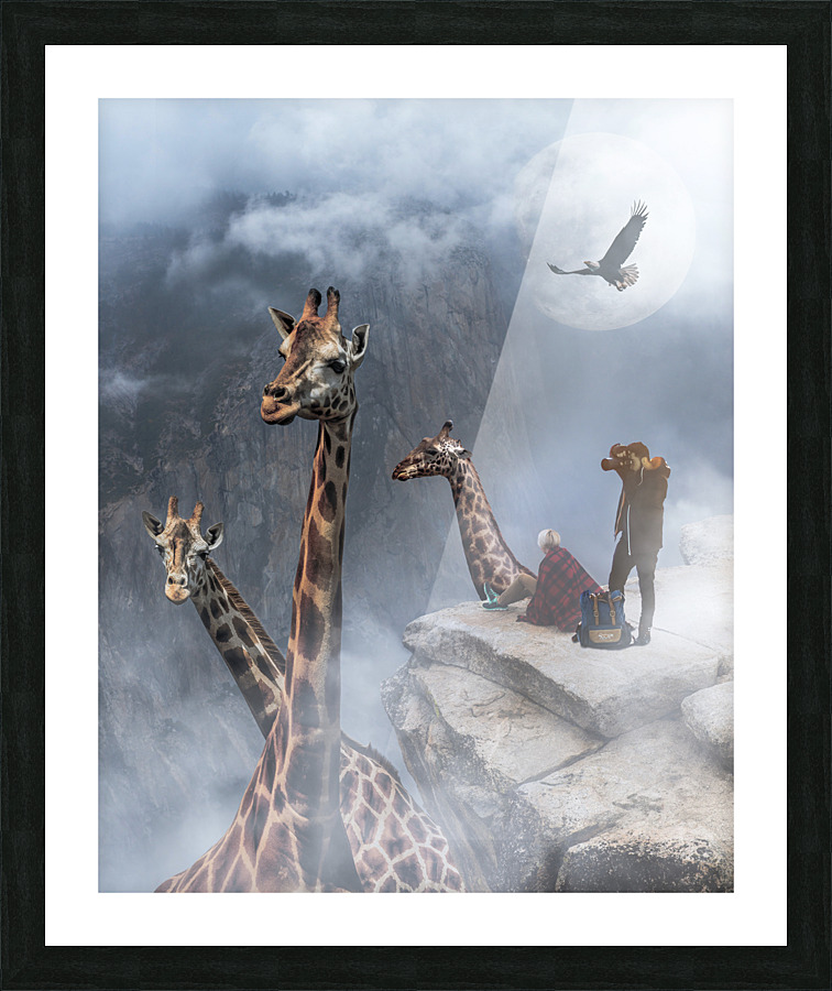  Fine Art print
