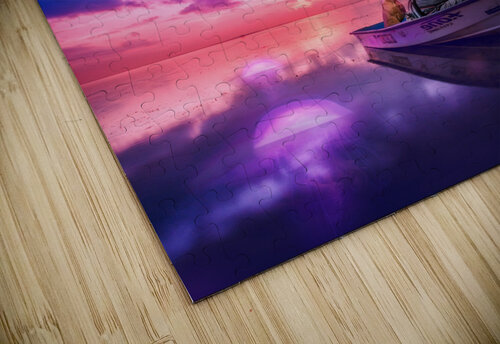 Jellyfish Sunset Rafael Ramirez puzzle