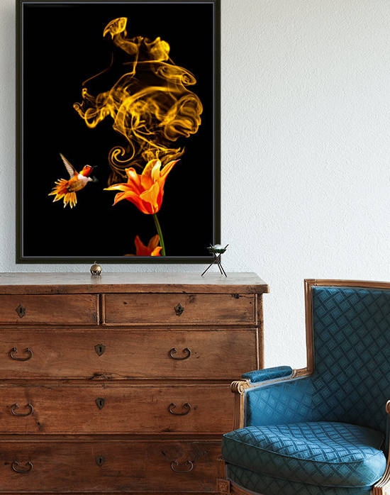 Stop and smell the colors - 7 of 8 by Rafael Ramirez