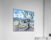 Polar Bear Beach Acrylic Print