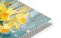 “Daffodil Brilliance” HD Metal print